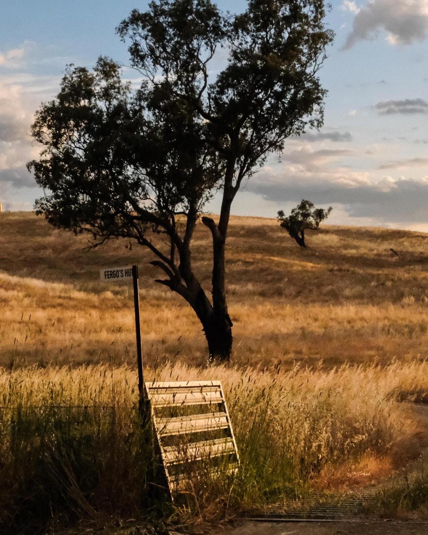 Willa Kimo Estate Gundagai Zewnętrze zdjęcie